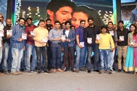 Rough Movie Audio Release